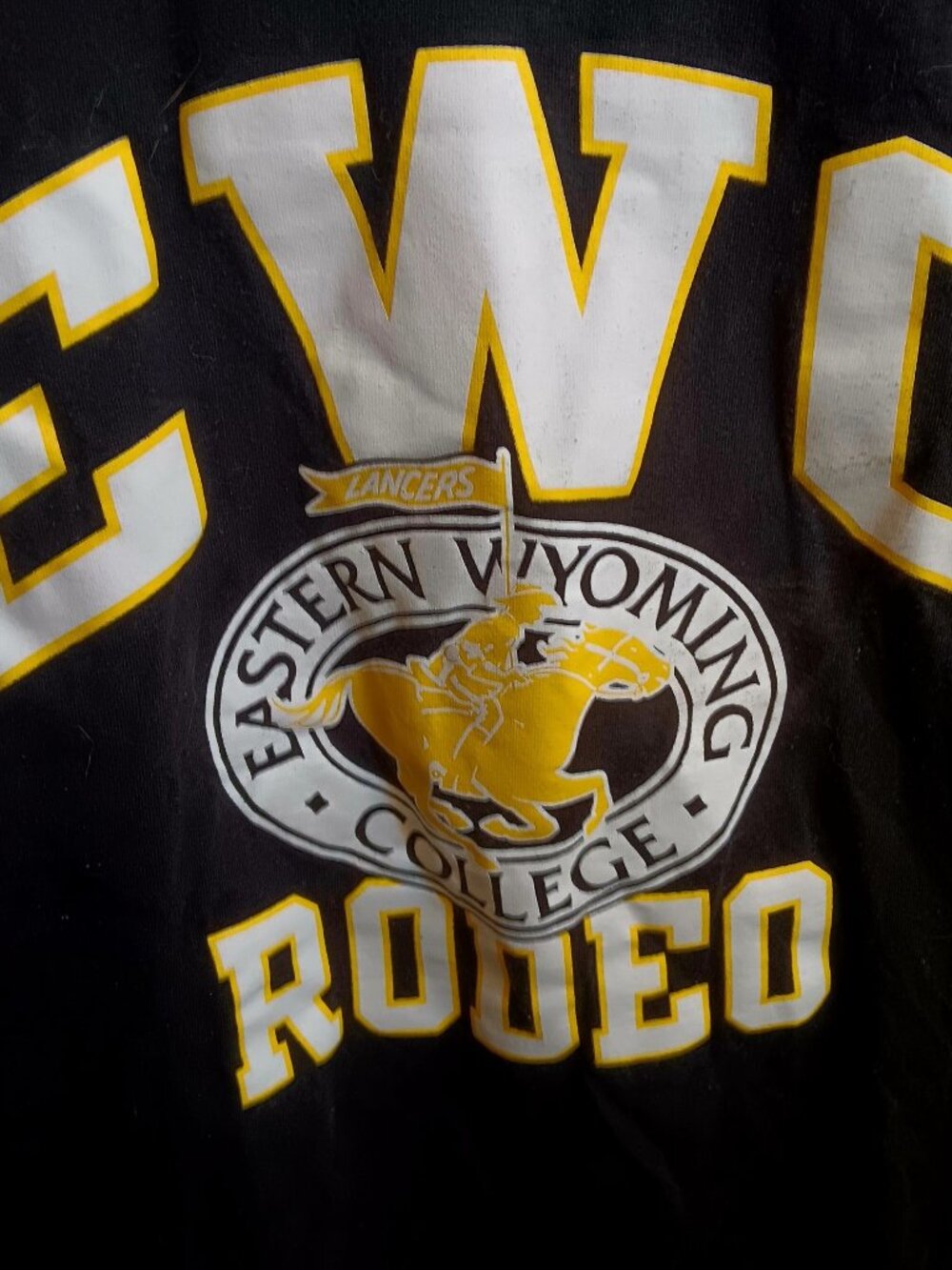 Eastern Wyoming College Rodeo T-Shirt Champion Authentic Black M Short Sleeve